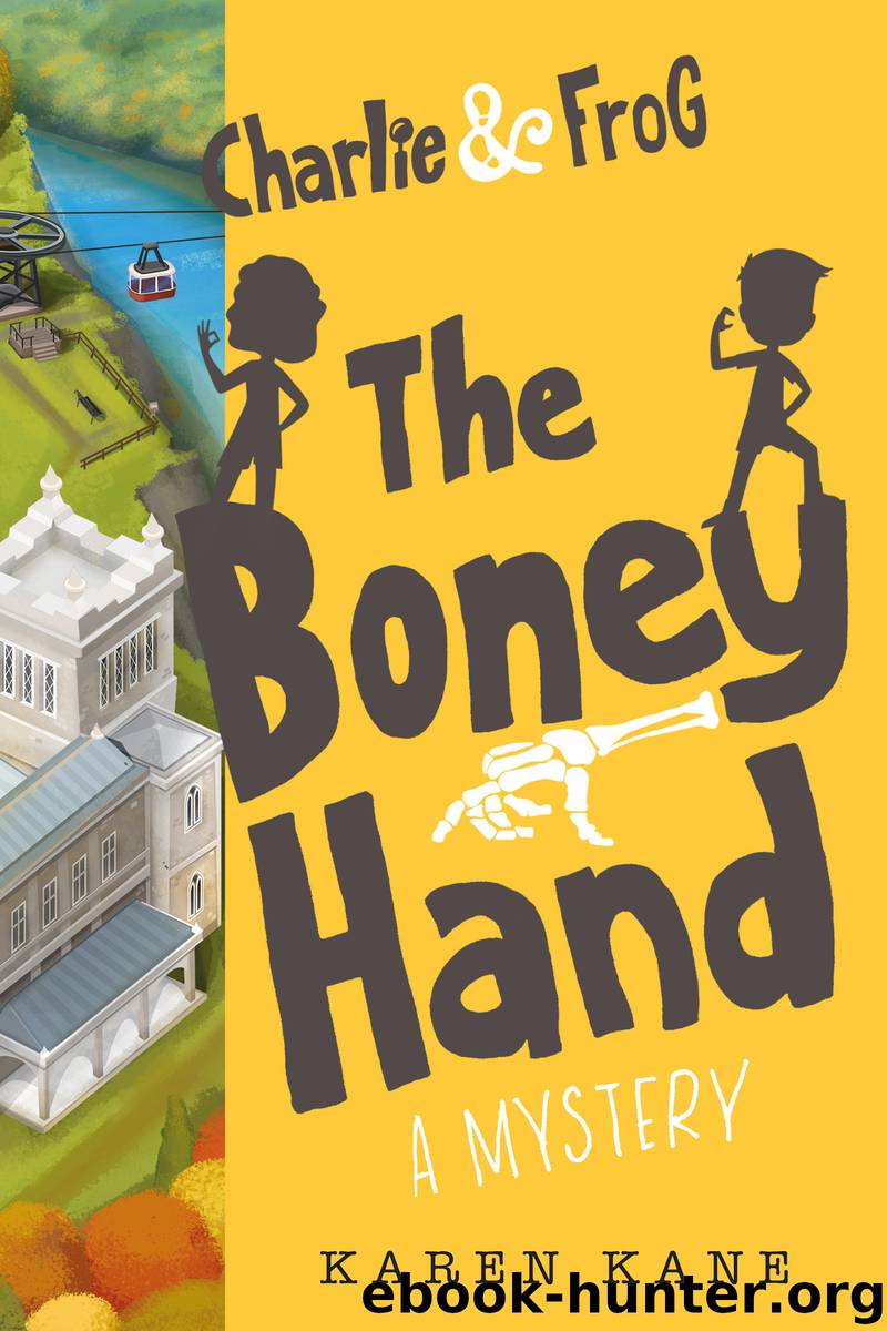 The Boney Hand by Karen Kane