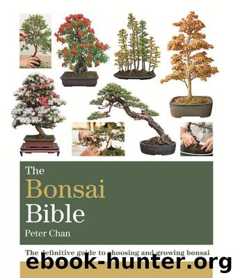 The Bonsai Bible: The definitive guide to choosing and growing bonsai (Octopus Bible Series) by Chan Peter