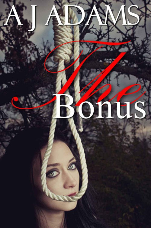 The Bonus by Adams AJ