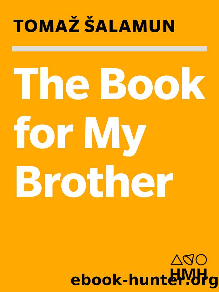 The Book For My Brother by Tomaz Salamun