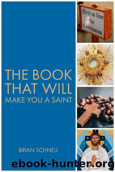The Book That Will Make You a Saint by Brian Schnell