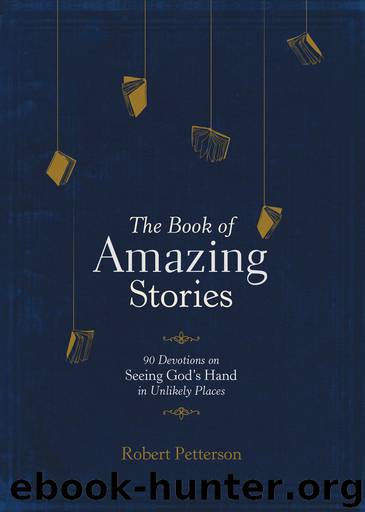 The Book of Amazing Stories by Robert Petterson