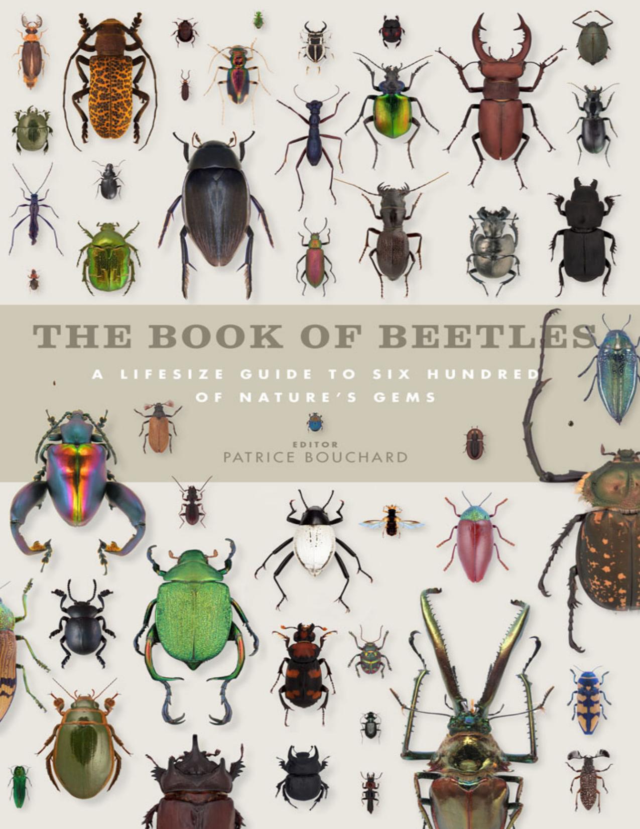 The Book of Beetles by Patrice Bouchard