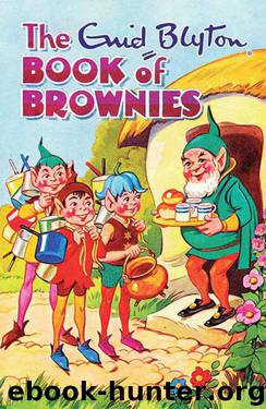The Book of Brownies (The Enchanted World) by Enid Blyton