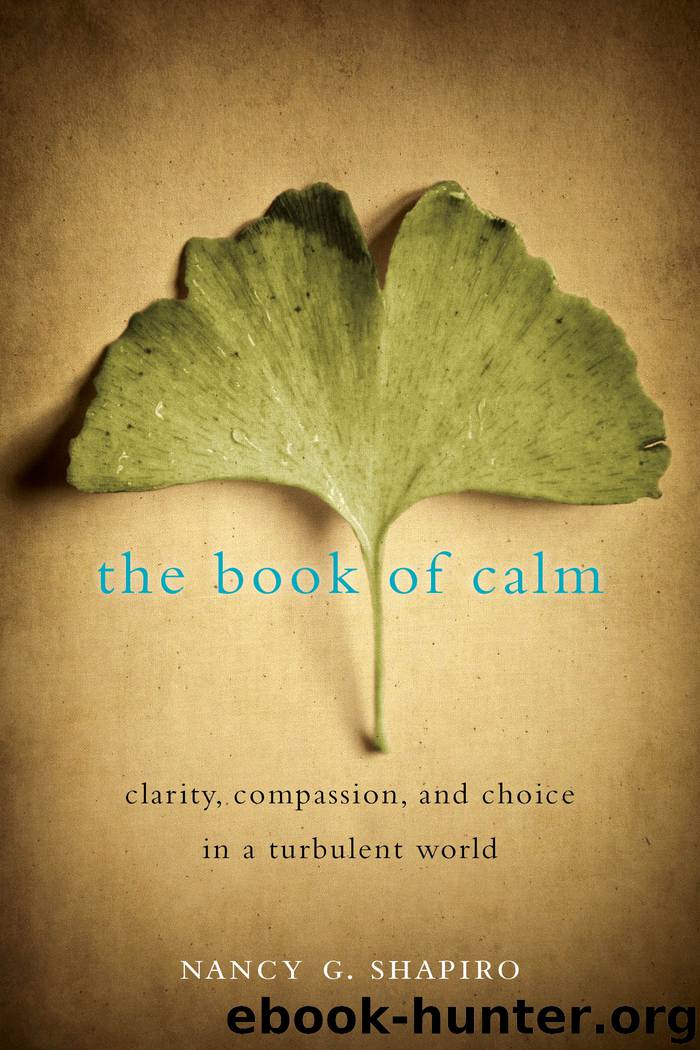 The Book of Calm by Nancy G. Shapiro
