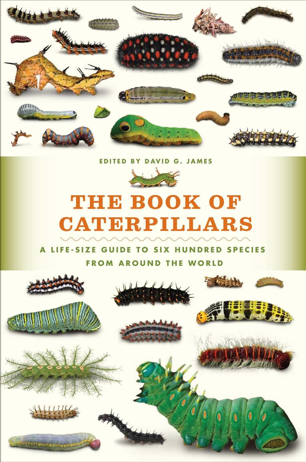 The Book of Caterpillars : A Life-size Guide to Six Hundred Species From Around the World by David G. James
