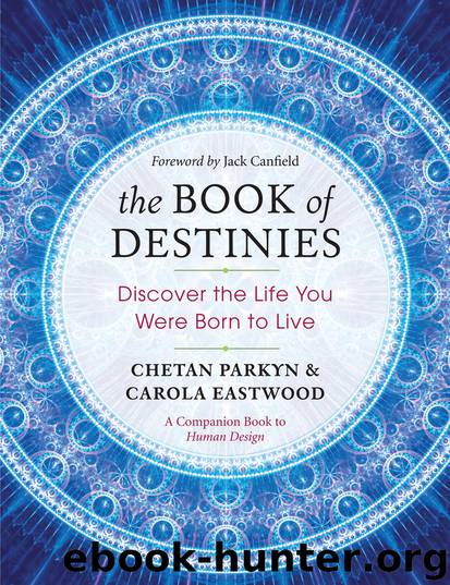 The Book of Destinies by Chetan Parkyn