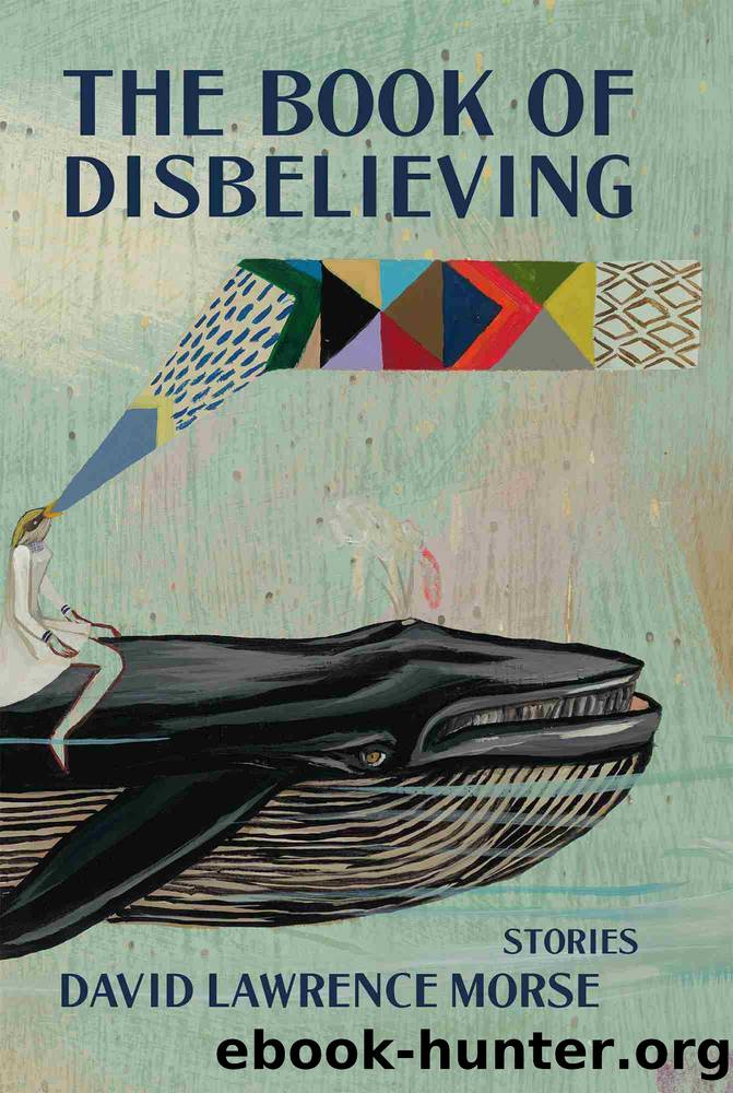 The Book of Disbelieving by David Lawrence Morse