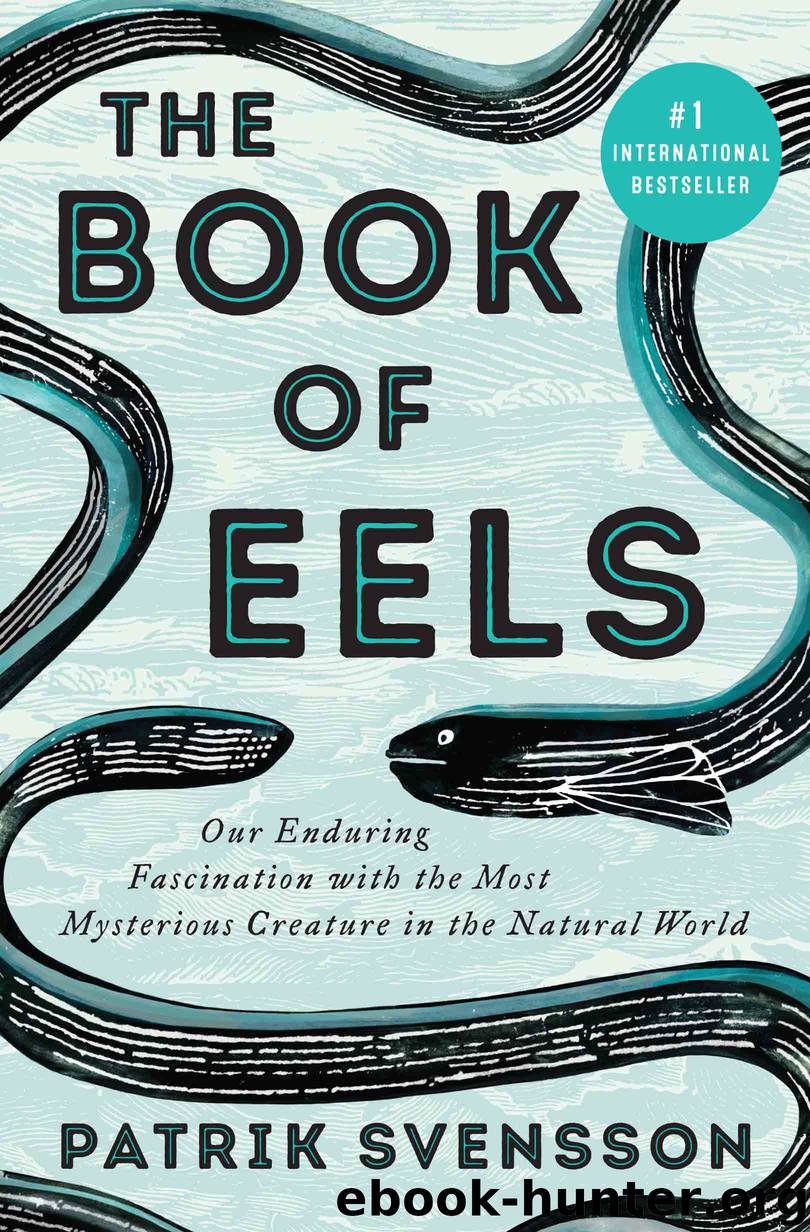 The Book of Eels by Patrik Svensson