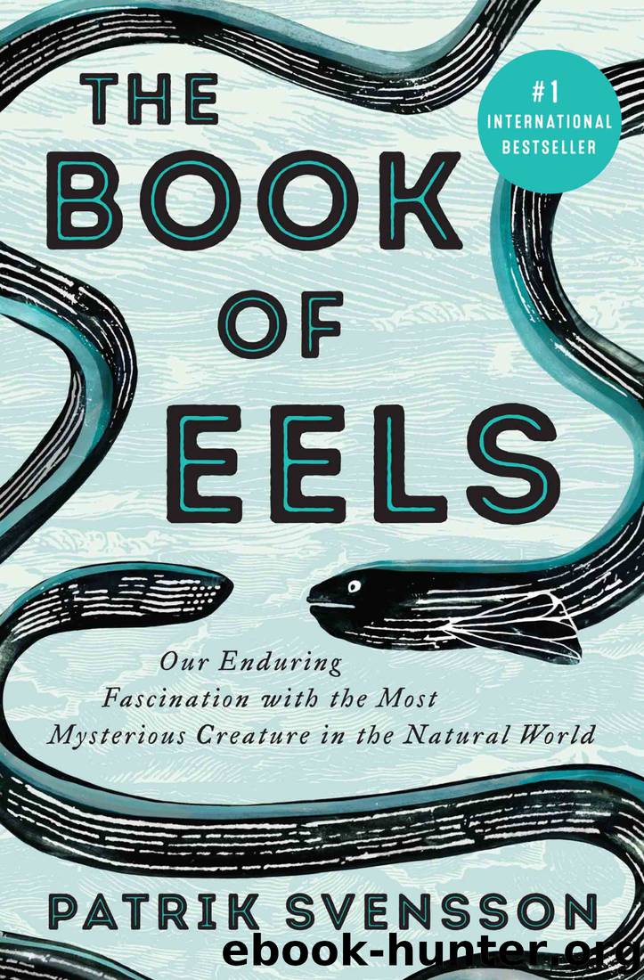 The Book of Eels: Our Enduring Fascination With the Most Mysterious Creature in the Natural World by Patrik Svensson