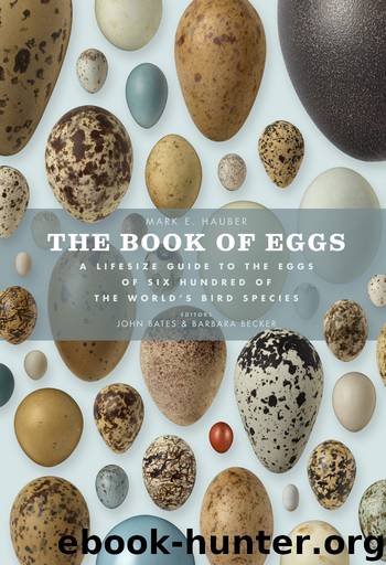 The Book of Eggs by Mark E. Hauber