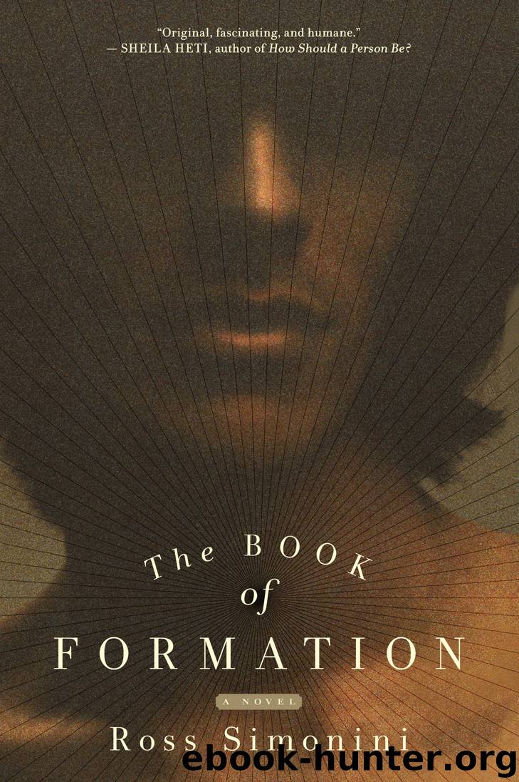 The Book of Formation by Ross Simonini