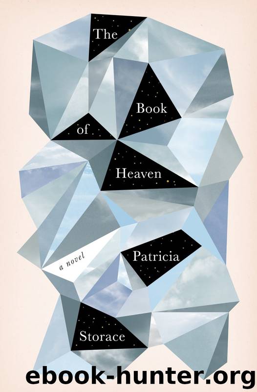 The Book of Heaven: A Novel by Patricia Storace
