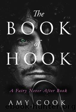 The Book of Hook: A Fairy Never After Book by Amy Cook
