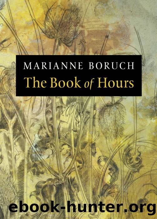 The Book of Hours by Marianne Boruch