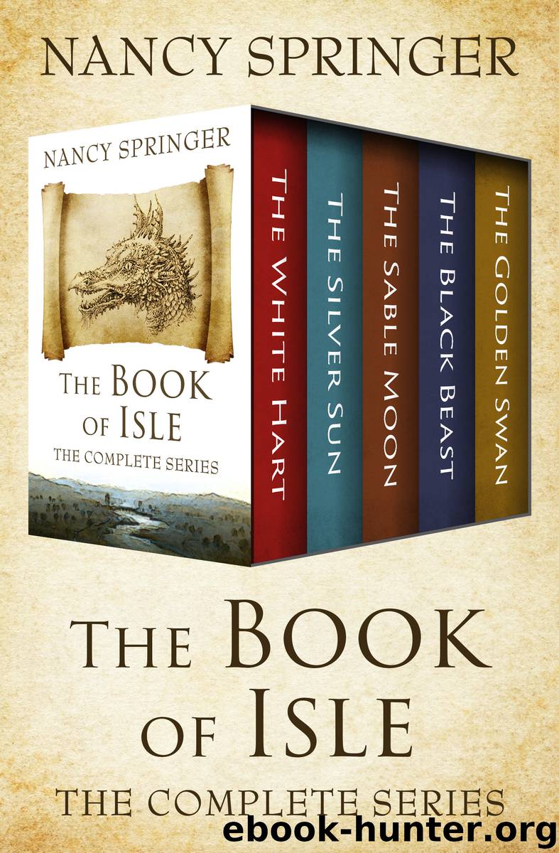 The Book of Isle by Nancy Springer