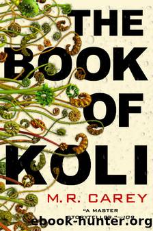 The Book of Koli by Carey M. R