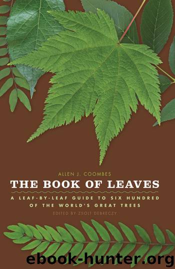 The Book of Leaves: A Leaf-by-Leaf Guide to Six Hundred of the World’s Great Trees by Allen J. Coombes & Zsolt Debreczy