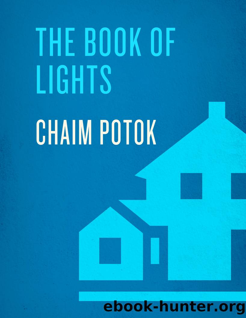 The Book of Lights by Chaim Potok