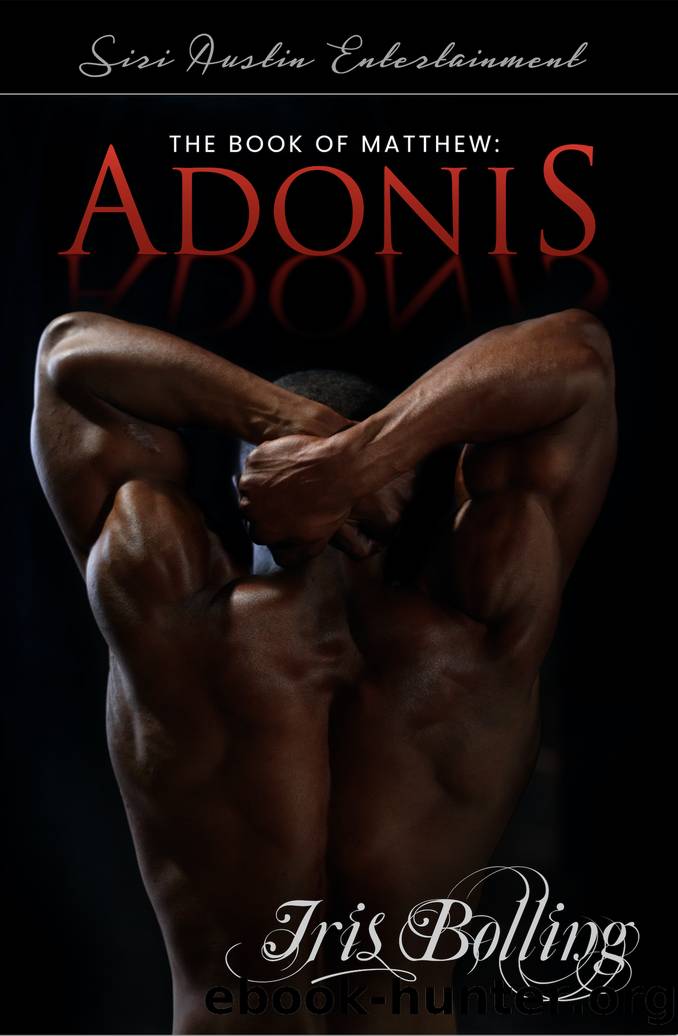 The Book of Matthew by Iris Bolling