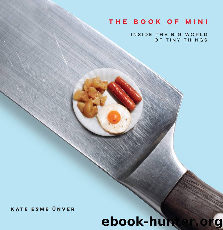 The Book of Mini by Kate Esme Unver
