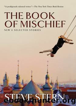 The Book of Mischief by Steve Stern