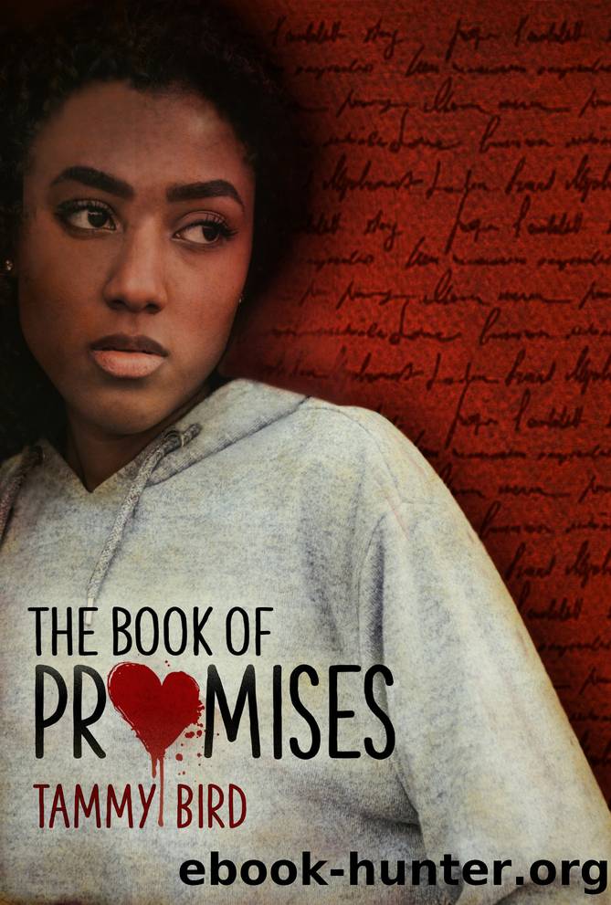 The Book of Promises by Tammy Bird