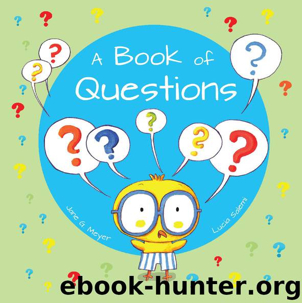 The Book of Questions by Jane G. Meyer