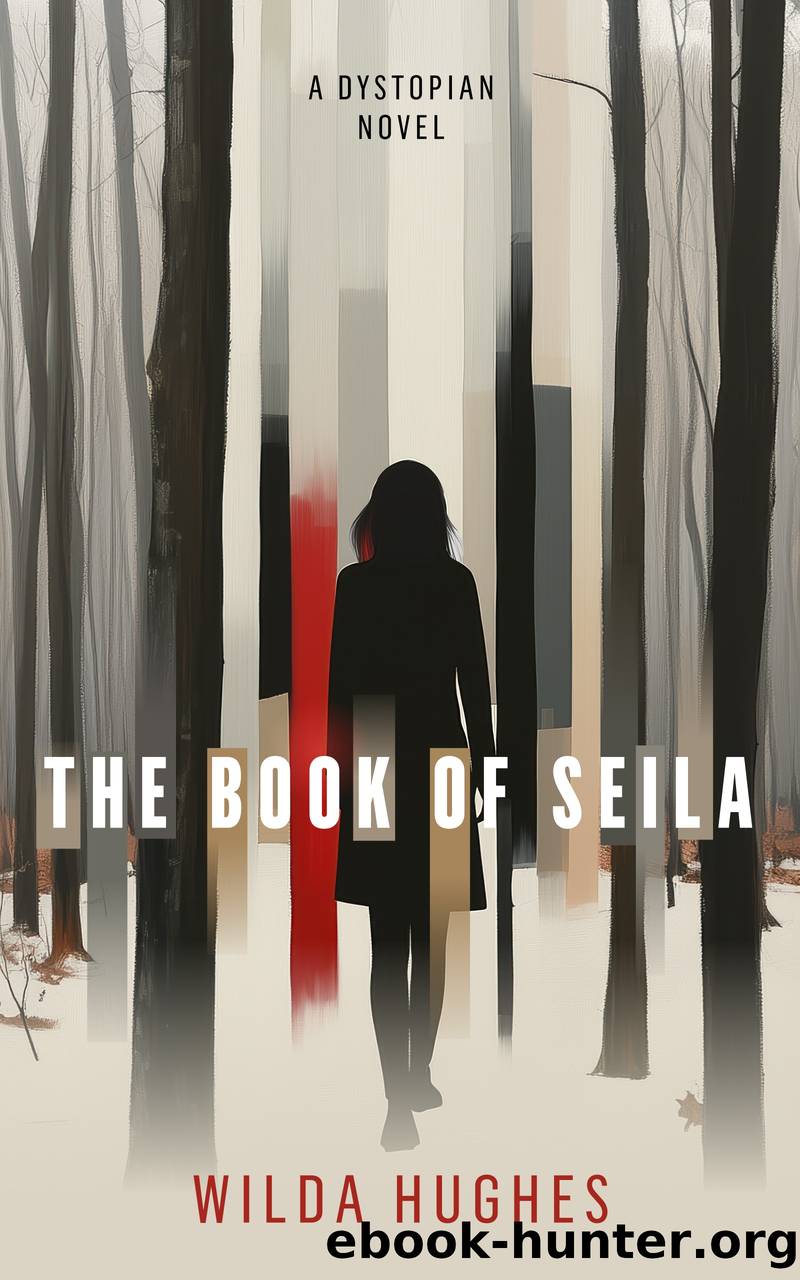 The Book of Seila by Wilda Hughes