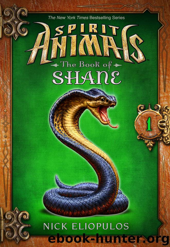 The Book of Shane #1 by Nick Eliopulos
