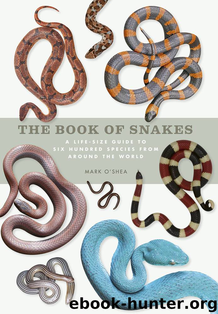 The Book of Snakes by Mark O'Shea