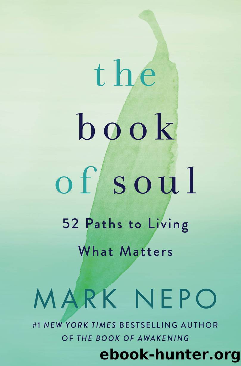 The Book of Soul by Mark Nepo