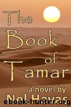 The Book of Tamar: Daughter of King David by Nel Havas