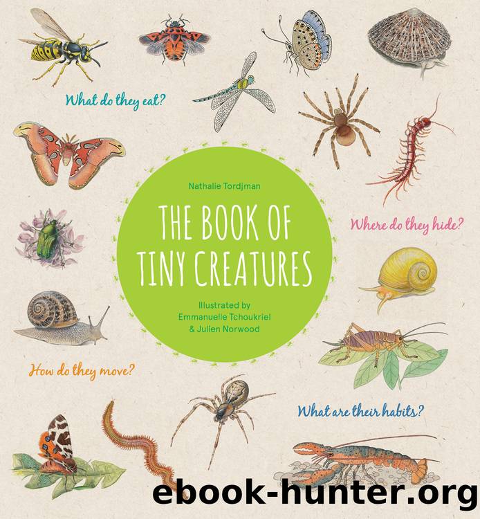 The Book of Tiny Creatures by Nathalie Tordjman