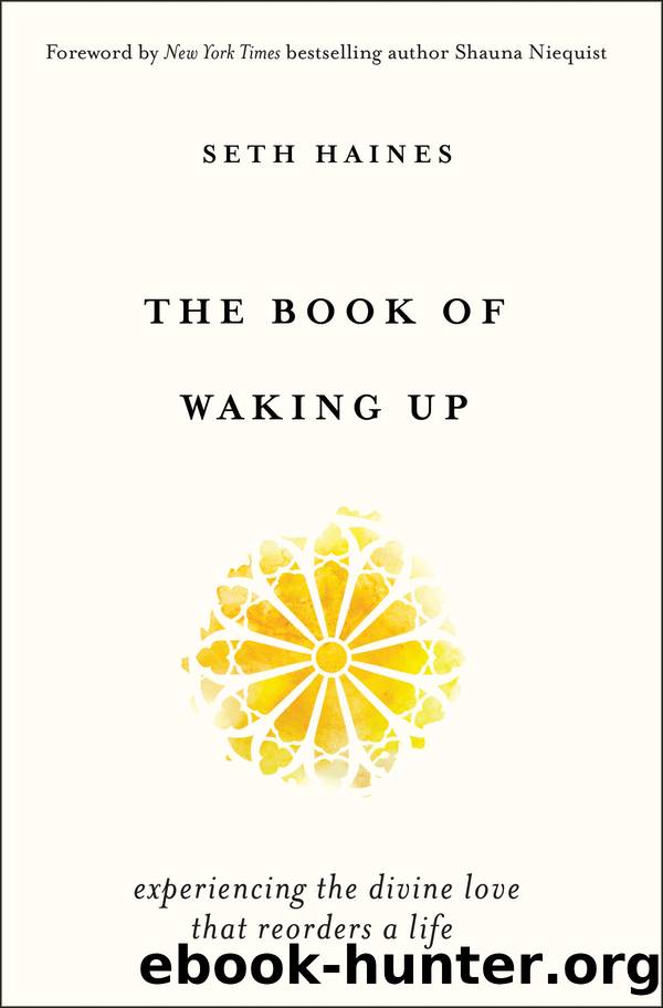 The Book of Waking Up by Seth Haines