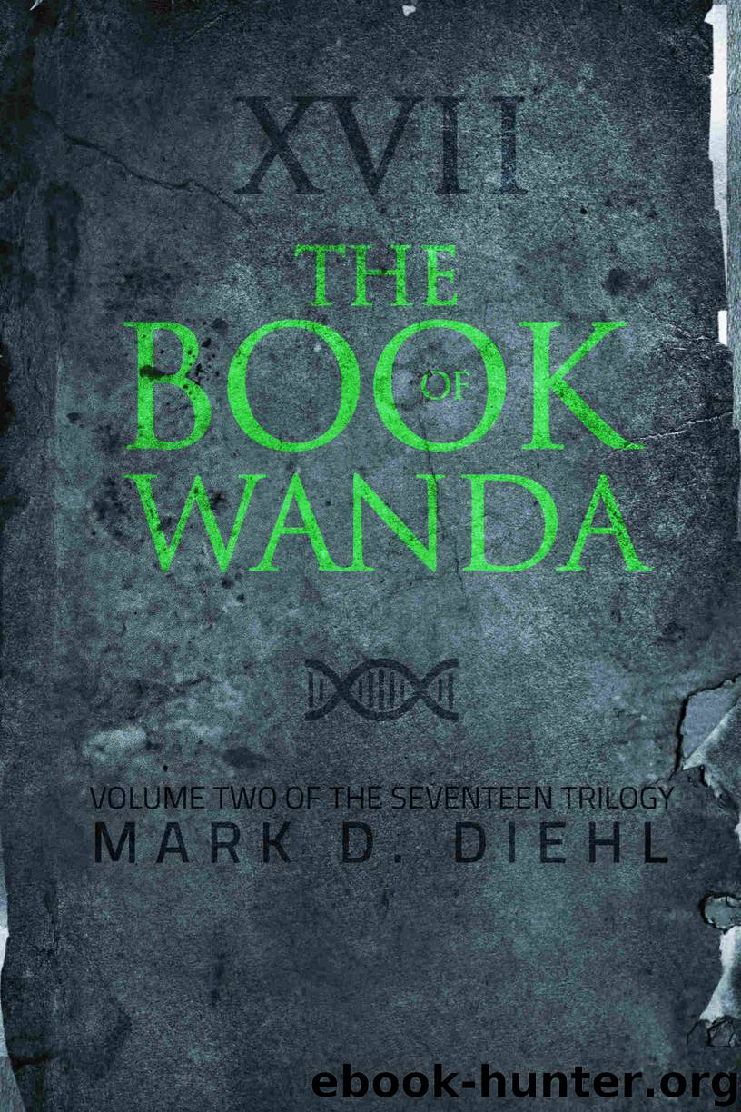 The Book of Wanda, Volume Two of the Seventeen Trilogy by Mark D. Diehl