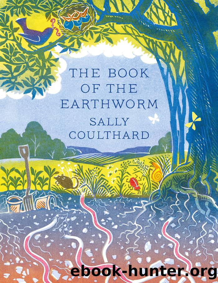 The Book of the Earthworm by Sally Coulthard