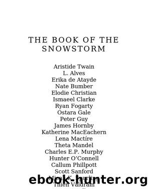 The Book of the Snowstorm by Aristide Twain