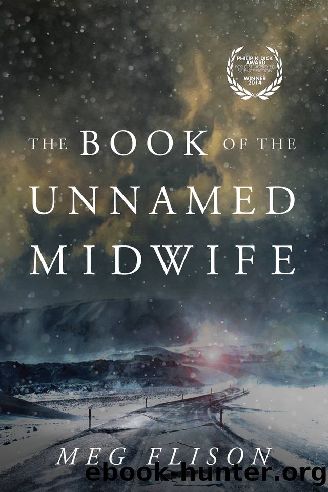 The Book of the Unnamed Midwife (The Road to Nowhere 1) by Elison Meg