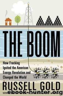 The Boom: How Fracking Ignited the American Energy Revolution and Changed the World by Russell Gold