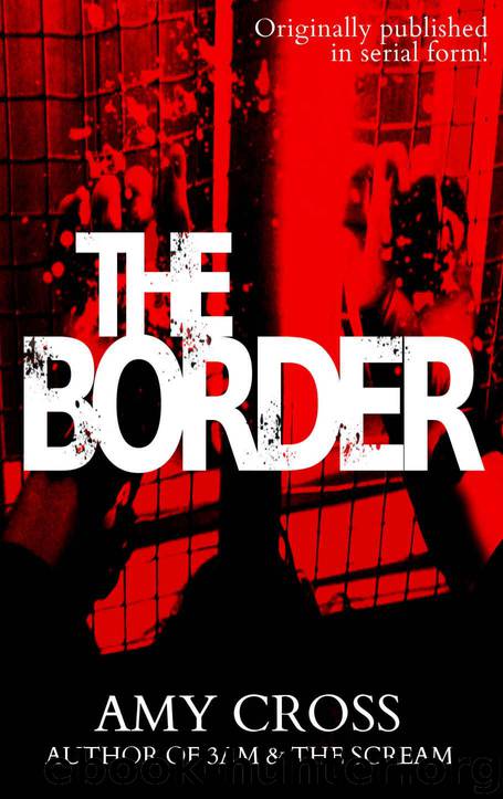 The Border: The Complete Series by Cross Amy
