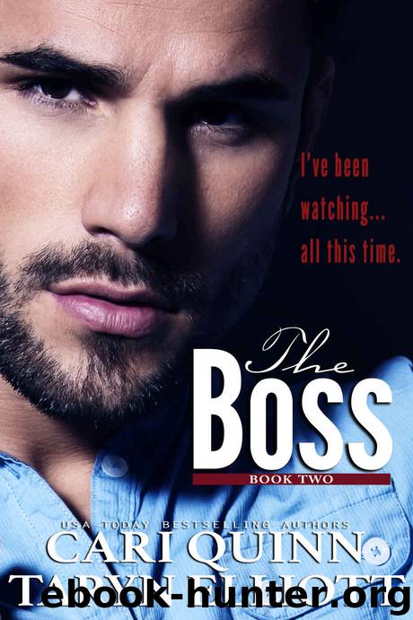 The Boss Vol. 2 (The Boss #2) by Cari Quinn & Taryn Elliott