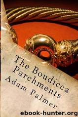 The Boudicca Parchments by Adam Palmer