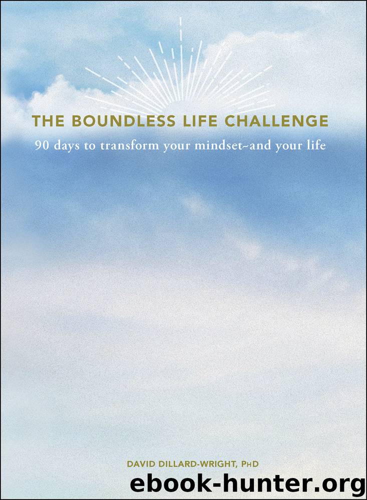 The Boundless Life Challenge by David Dillard-Wright