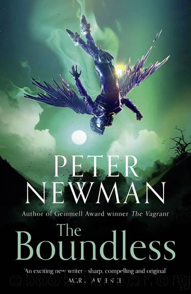 The Boundless by Peter Newman
