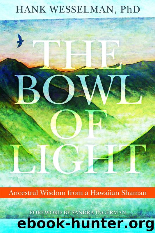 The Bowl of Light by Hank Wesselman