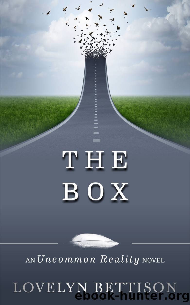The Box by Lovelyn Bettison