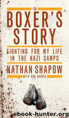 The Boxer's Story by Nathan Shapow