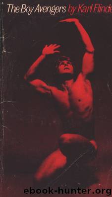 The Boy Avengers by Karl Flinders