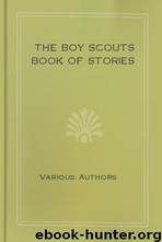 The Boy Scouts Book of Stories (Original Version) by unknow